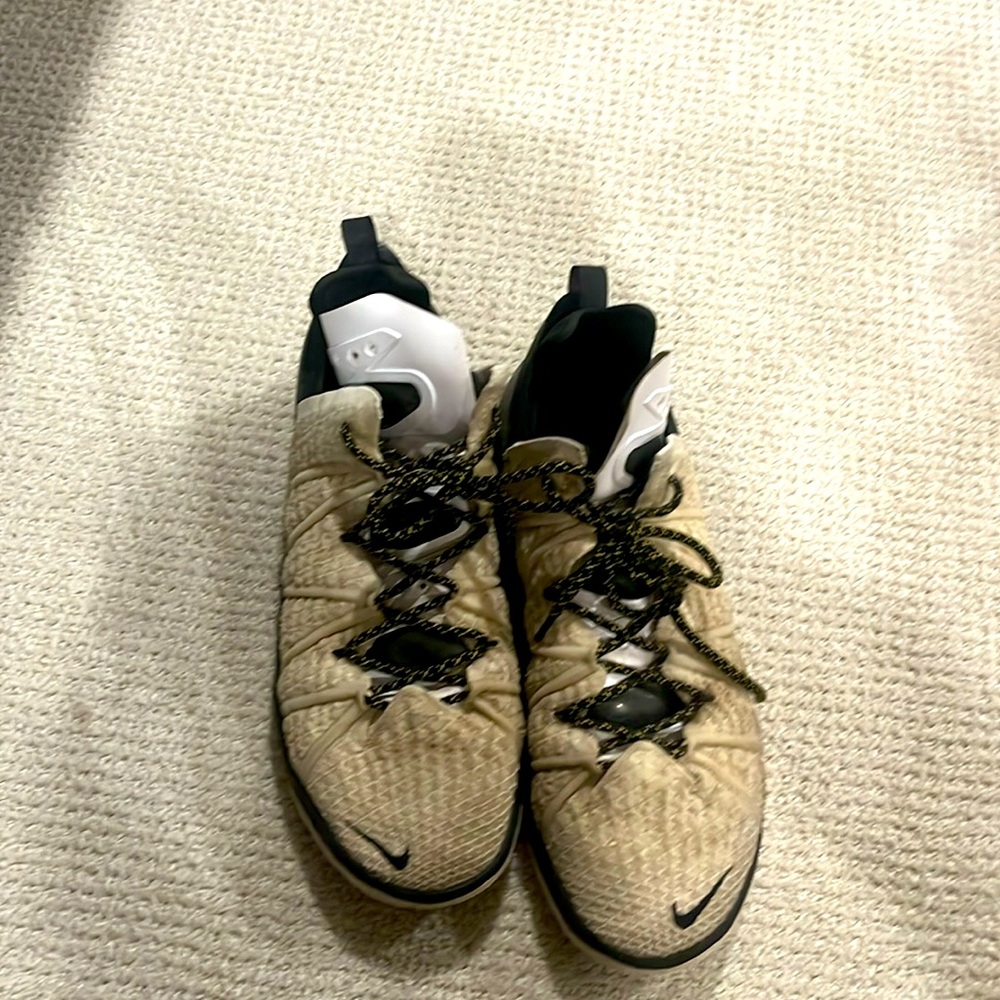 Lebron James Nike Basketball Shoes